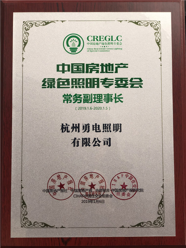 2019.1.06  中國房地長(zhǎng)綠色照明專委會(huì)-常務(wù)副理事長(zhǎng)（2019.1.06-2020.1.05）.jpg